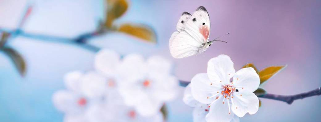 SIT : S'asseoir ensemble