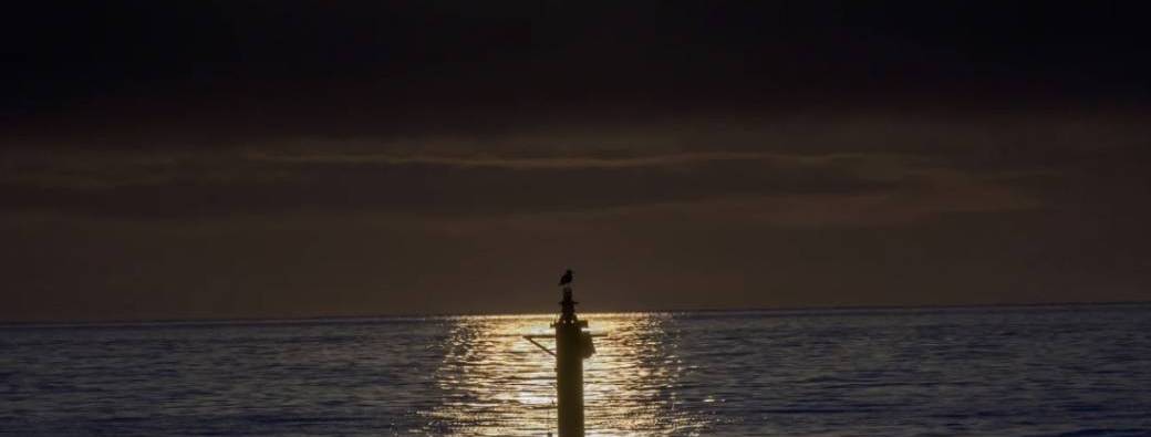Stage - Navigation Nocturne - Niveau 2 (10h)