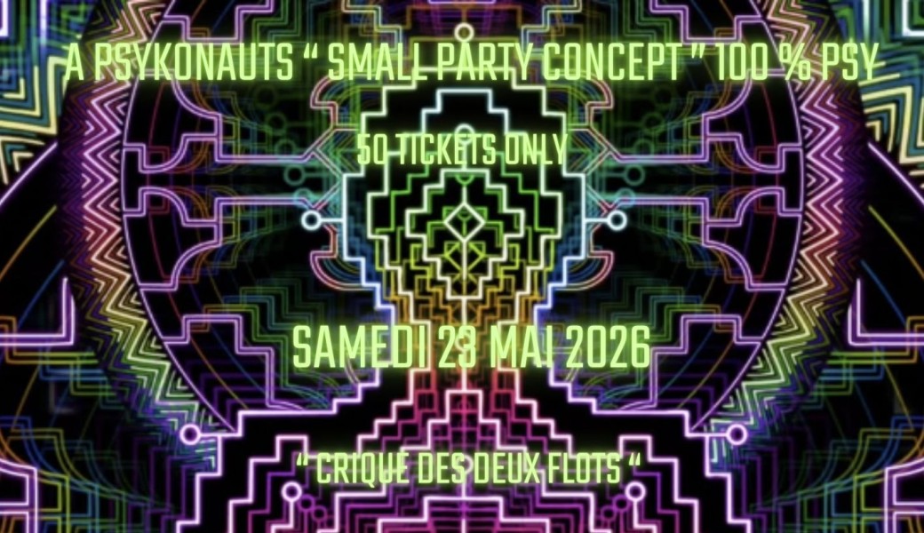 SMALL PARTY CONCEPT 100 % PSY