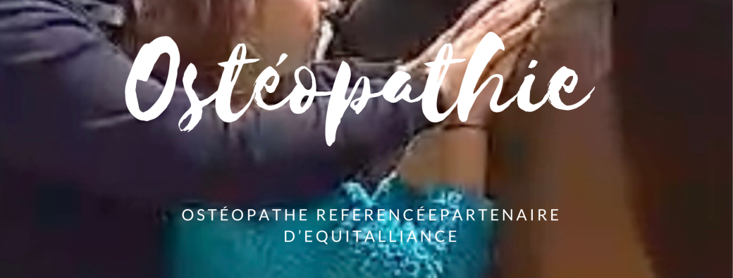 Soignez vous-même votre cheval en 4 jours d'Ostéopathie les 05-06 février et 23-24 avril 2026