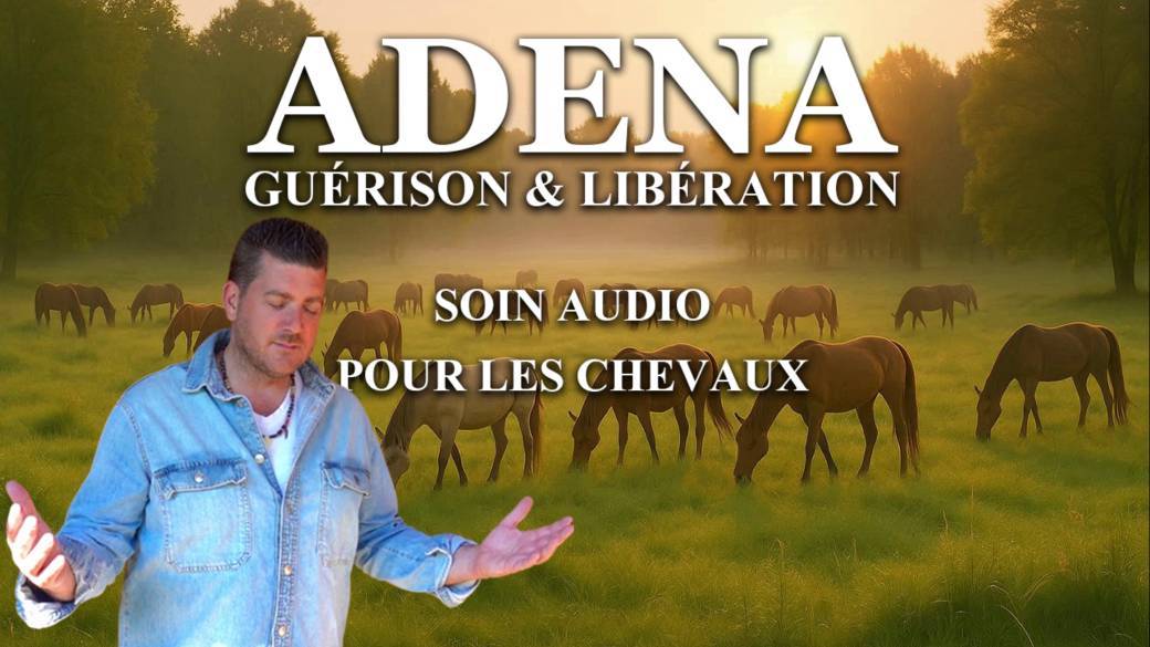 Soin Audio Guérison & Libération pour les Chevaux ( 30 minutes )