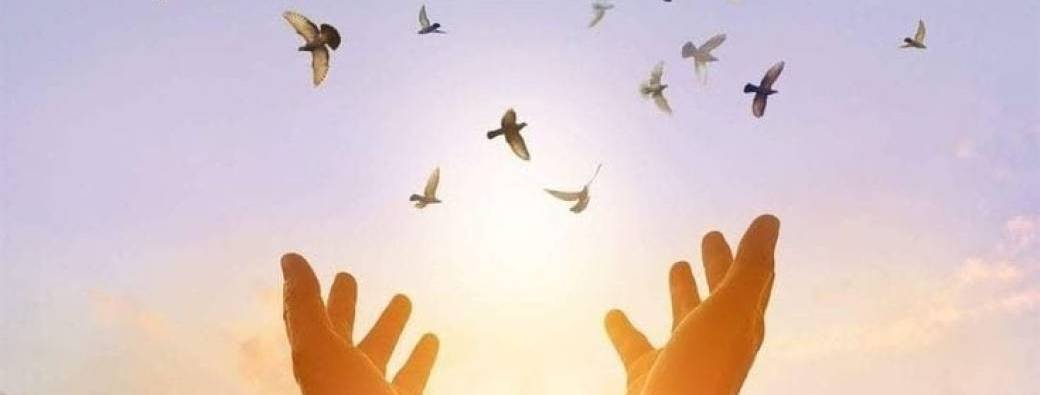  Soin collectif energetique et chamanique – Libération des mémoires d’abandon transgenerationnelles