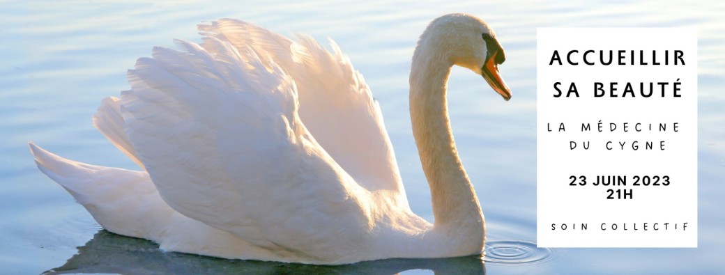 Soin collectif la Médecine du Cygne
