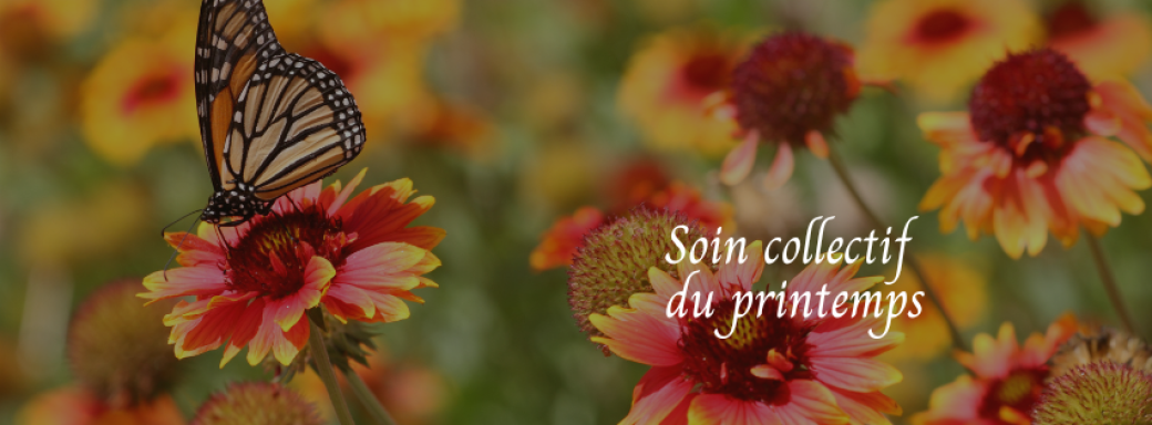 Soin collectif printemps