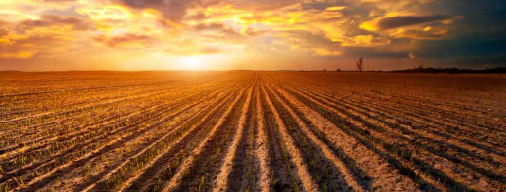 Soin energetique collectif Le pardon qui libère