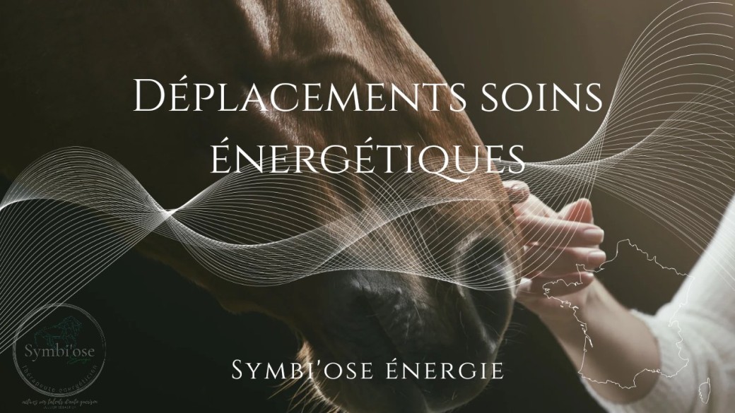 Soins énergétiques bordeaux 