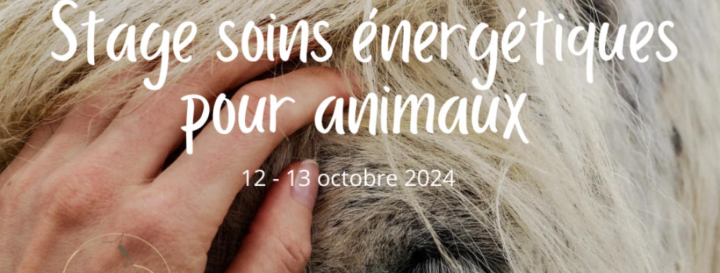 Soins énergétiques pour animaux 