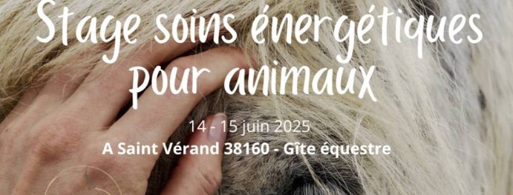 Soins énergétiques pour animaux 