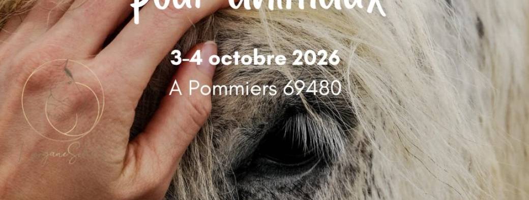 Soins énergétiques pour animaux 