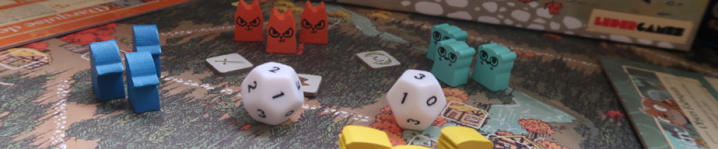 Soirée cartes et pions !