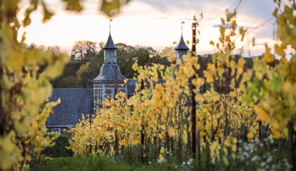 Soirée citoyenne Vignoble Terres du Val