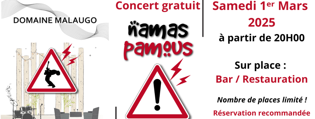 Soirée Concert gratuit Namas Pamous