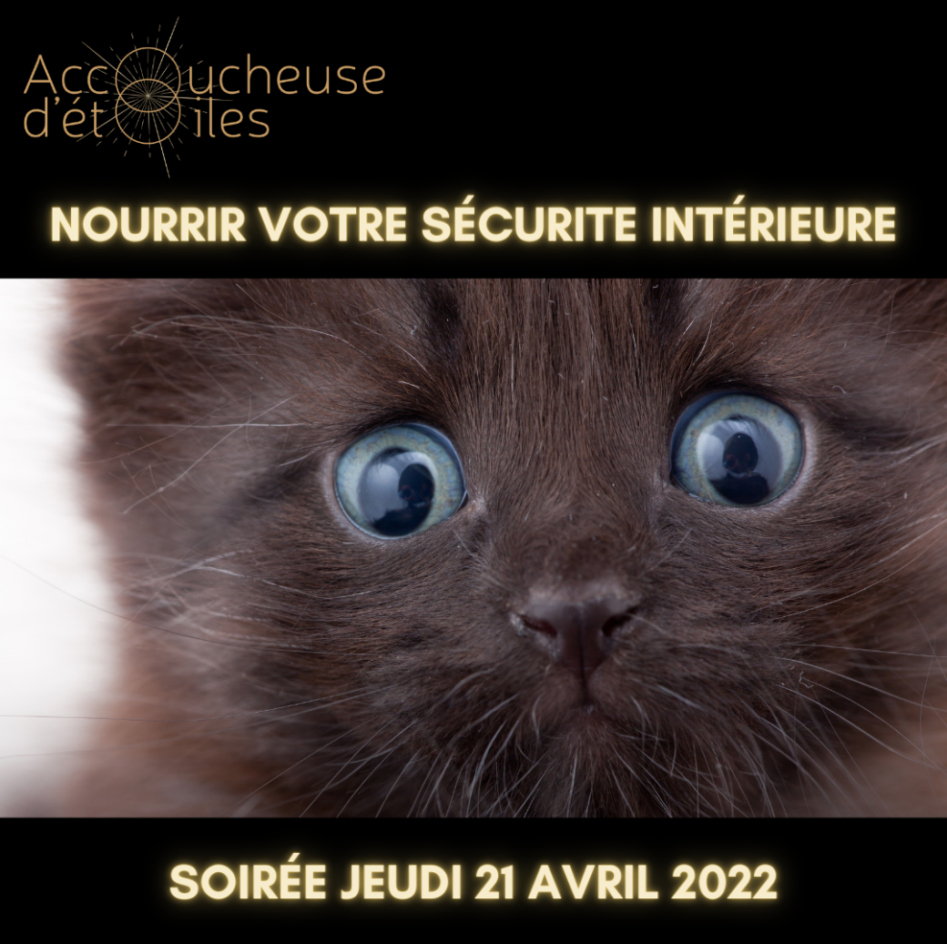 Soirée Constellations Sécurité intérieure