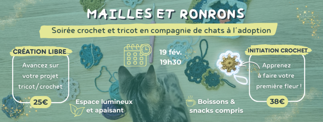 Soirée Crochet, Tricot et Chats - Initiation Crochet et session libre