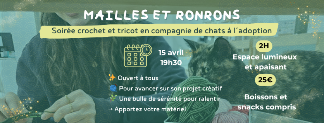 Soirée crochet et tricot en compagnie de chats