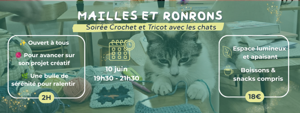 Soirée crochet et tricot en compagnie de chats