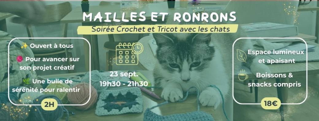 Soirée crochet et tricot en compagnie de chats