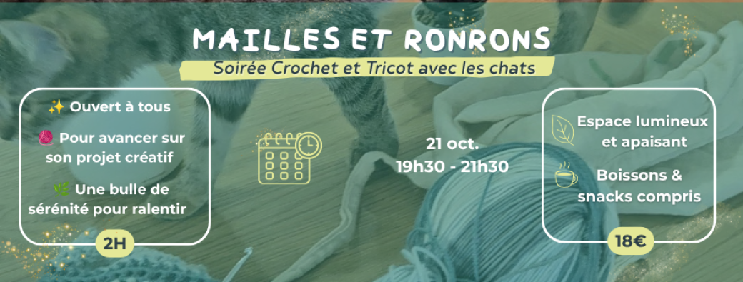 Soirée crochet et tricot en compagnie de chats