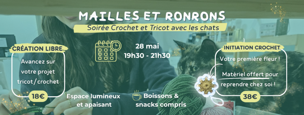 Soirée Crochet, Tricot et Chats - Initiation Crochet et session libre