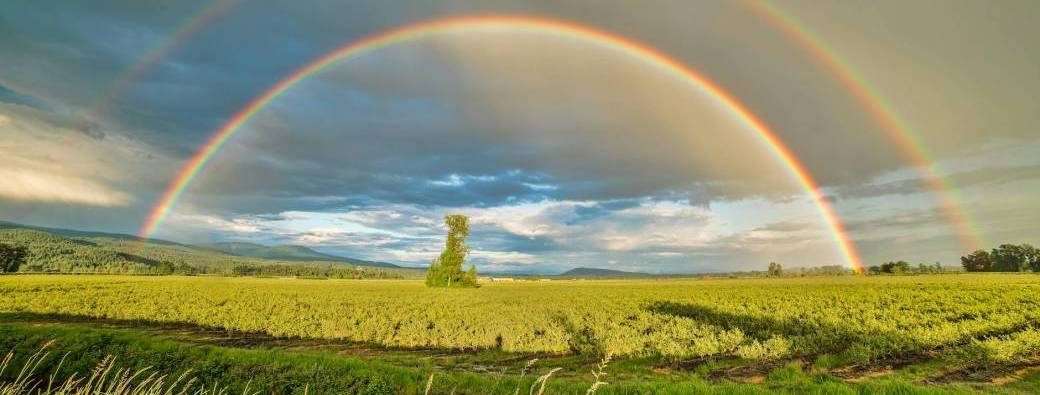 Soirée d'information "Eveiller la joie"
