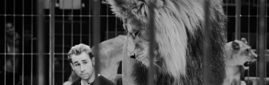Soirée Fête Foraine - Circus le Jeudi 13 Août