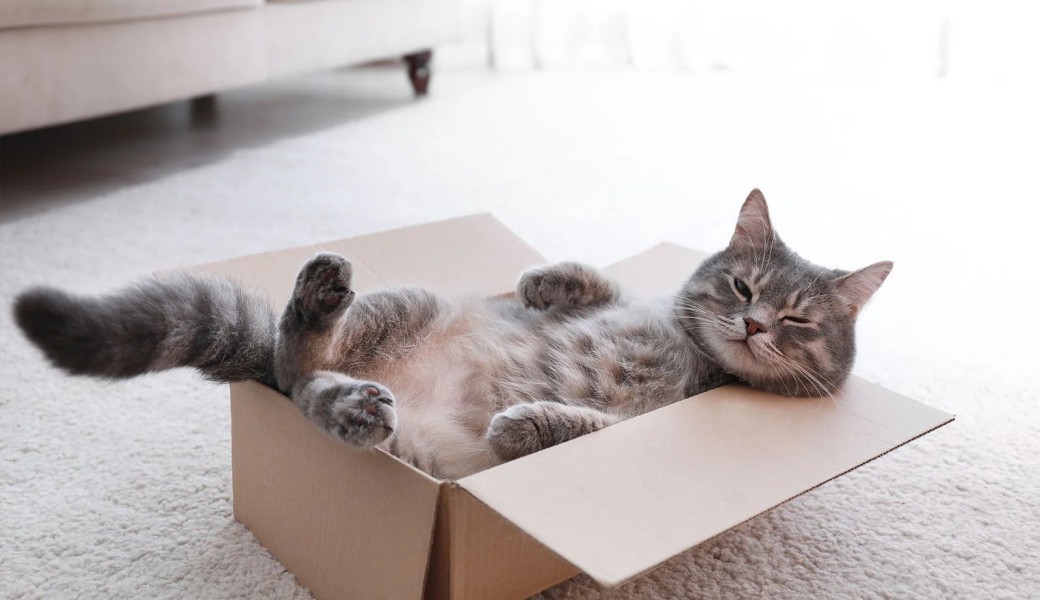 Soirée chill