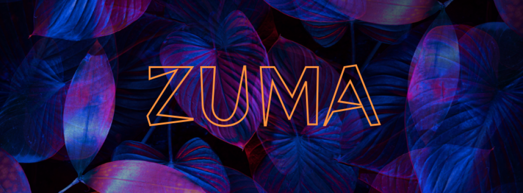 Soirée Électro | Zuma Collective