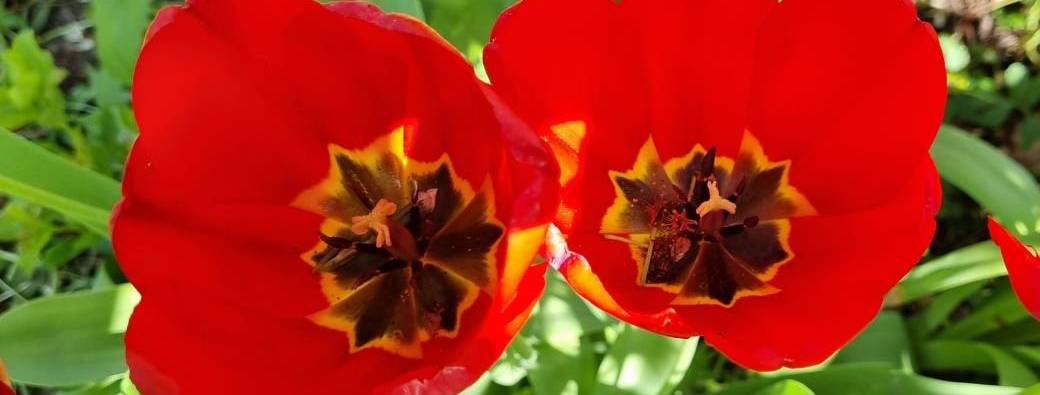 Soirée Skydancing Tantra "Amourons-nous"