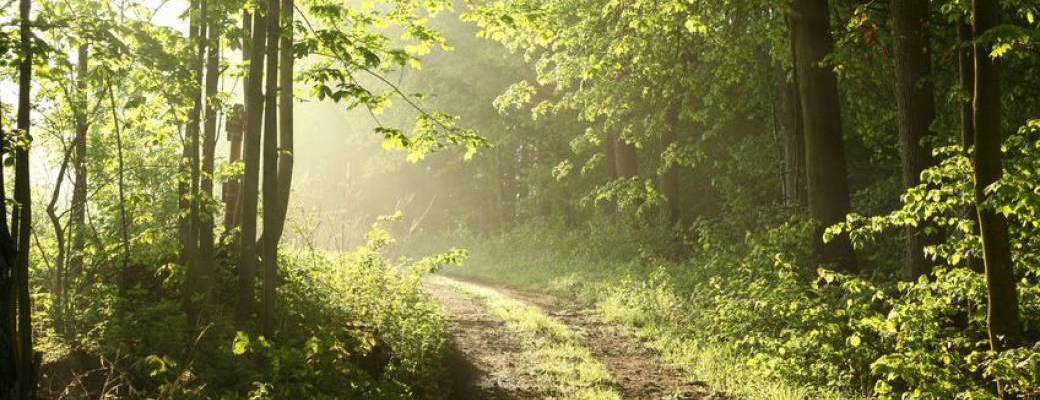 soirées infos, conférences, groupes de parole