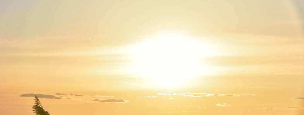 SOLAIRE - Programme en ligne