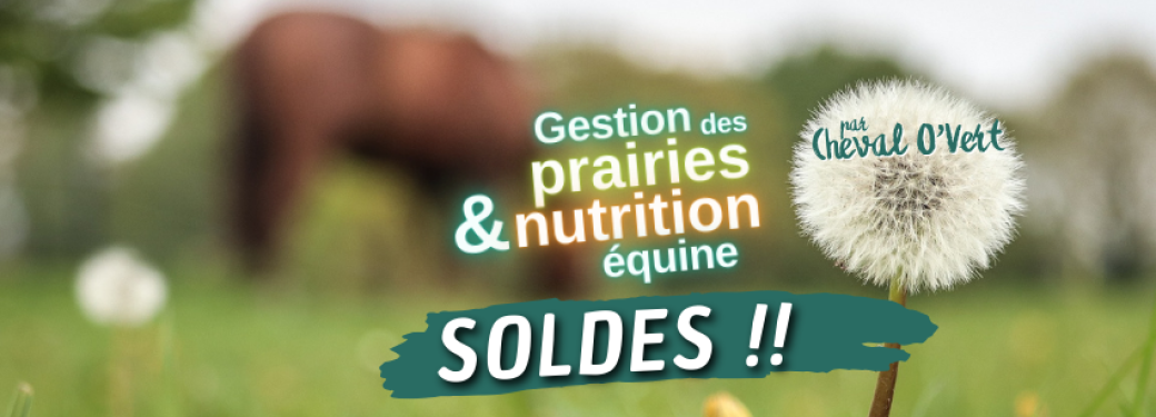 SOLDES d'hiver : Les webconférences de Cheval O'Vert
