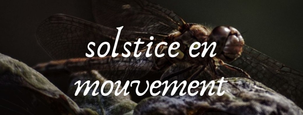 Solstice en Mouvement