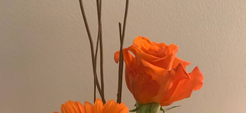 sophro et art floral