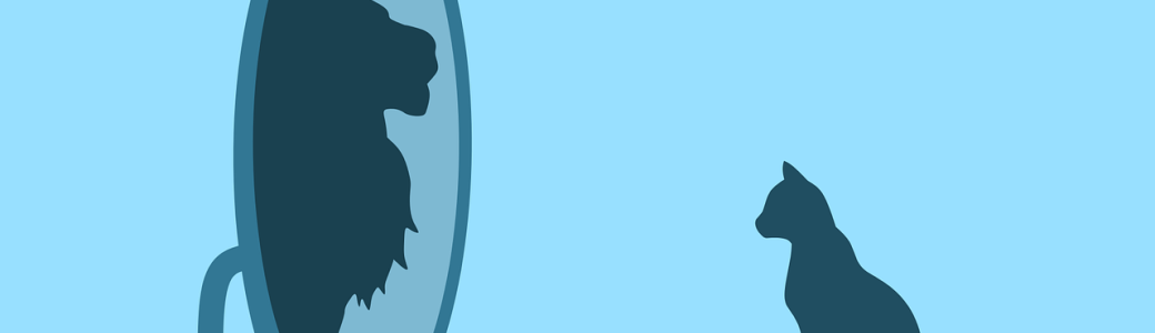 Savoir animer un Atelier Confiance en soi Sophro-Trainer®