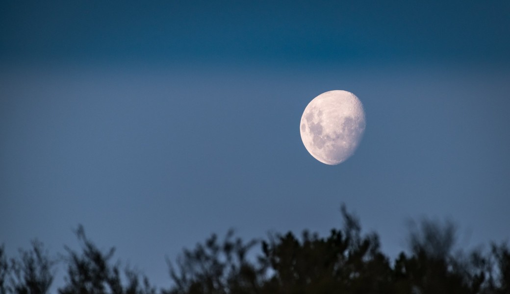 Sophrologie au clair de lune
