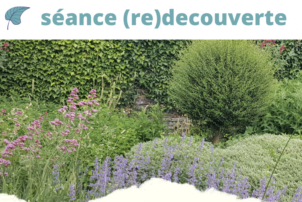sophrologie / Respiration au jardin