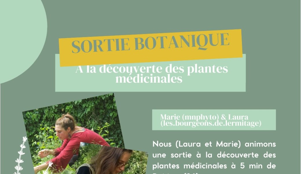 Sortie à la découverte des plantes médicinales 