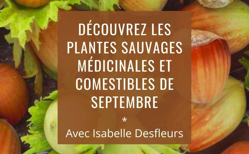 SORTIE A Plantes sauvages comestibles et médicinales de Septembre (Bois de Vincennes)