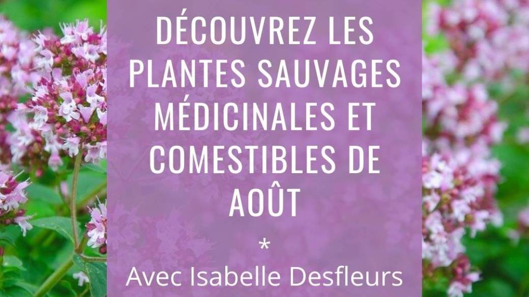 SORTIE A Plantes sauvages comestibles & médicinales d'Août (Bois de Vincennes)