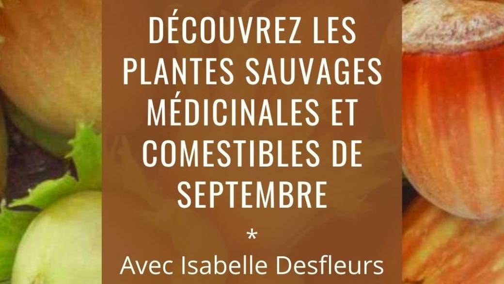SORTIE A Plantes sauvages médicinales & comestibles de Septembre (Bois de Vincennes)