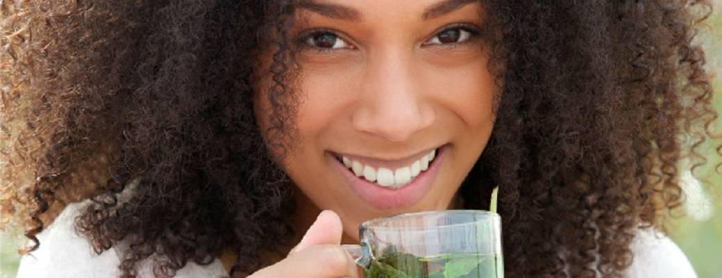 Sortie/Atelier Cure detox avec les plantes sauvages