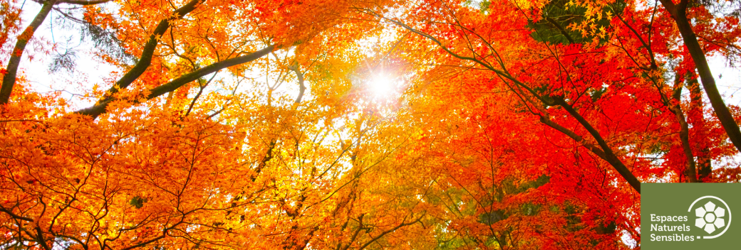 Entre ombre et lumière