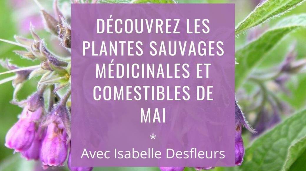 SORTIE B Plantes sauvages comestibles et médicinales de Mai (Bois de Vincennes)