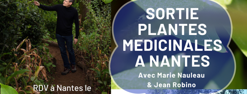 Sortie plantes médicinales à Nantes 