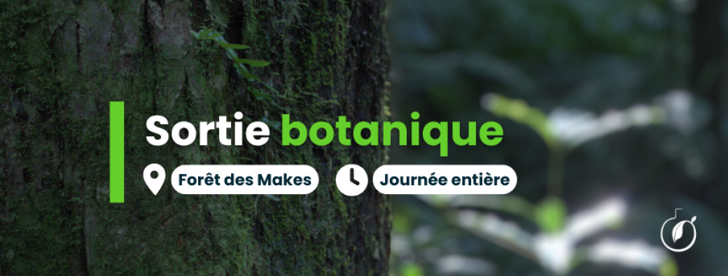 Sortie Botanique - Forêt des Makes