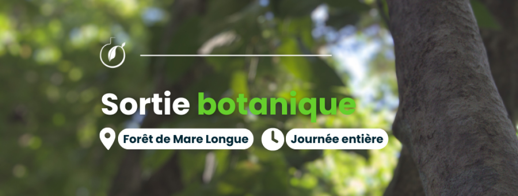 Sortie Botanique - Mare Longue