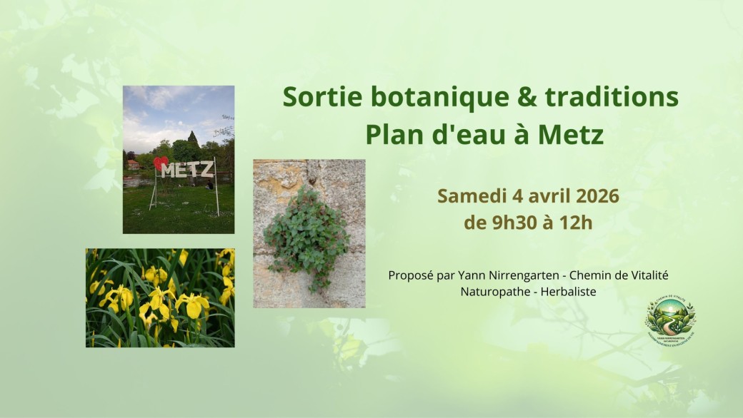 Sortie botanique & traditions au plan d'eau à Metz