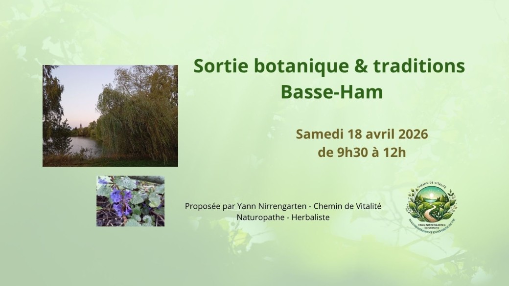 Sortie botanique & traditions