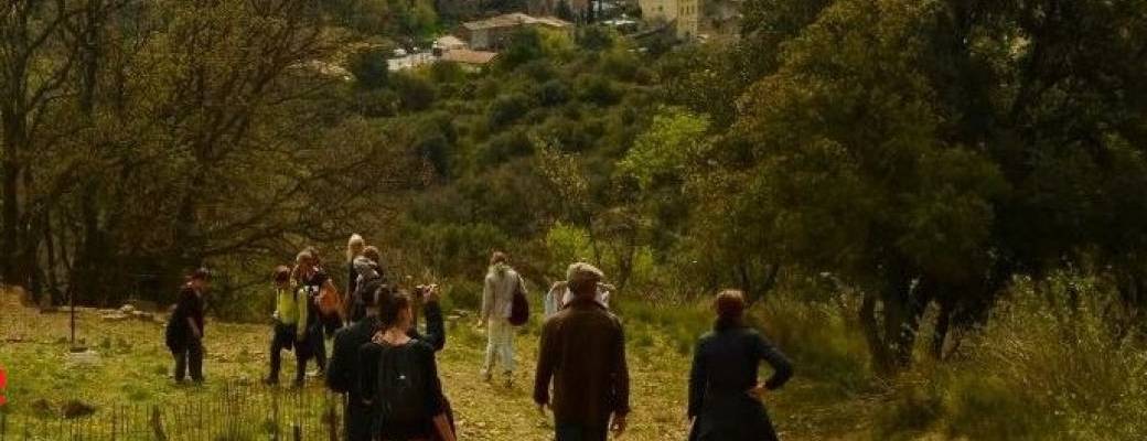 sortie de reconnaissance de plantes sauvages comestibles