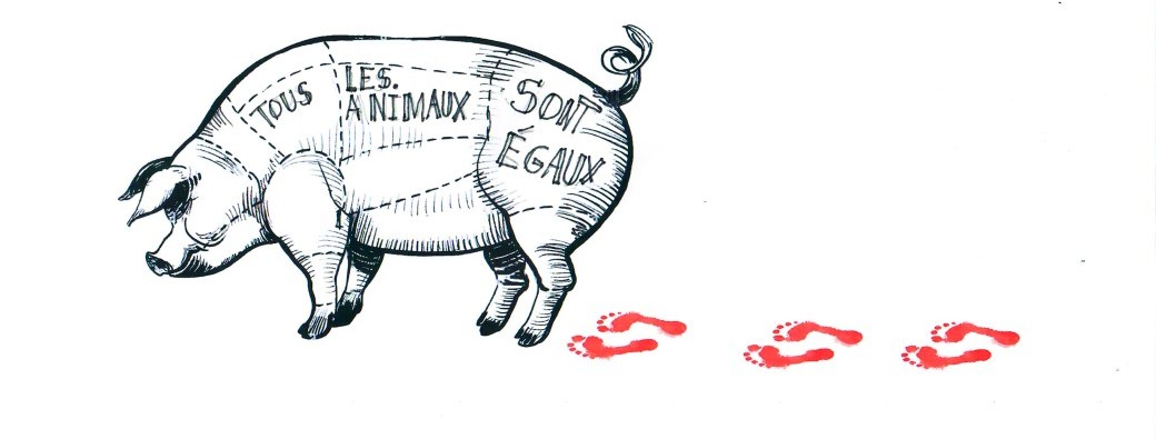 Sortie de résidence | La Ferme des animaux